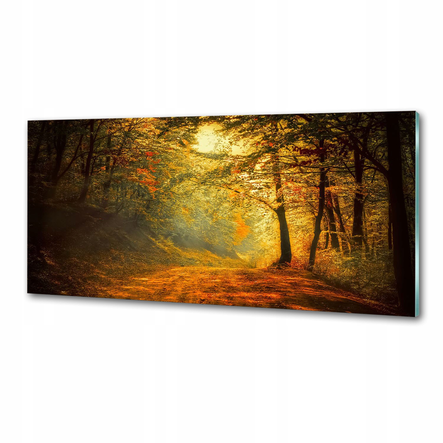 Panel dekor sklo Les na jeseň 125x50 cm Lepidlo