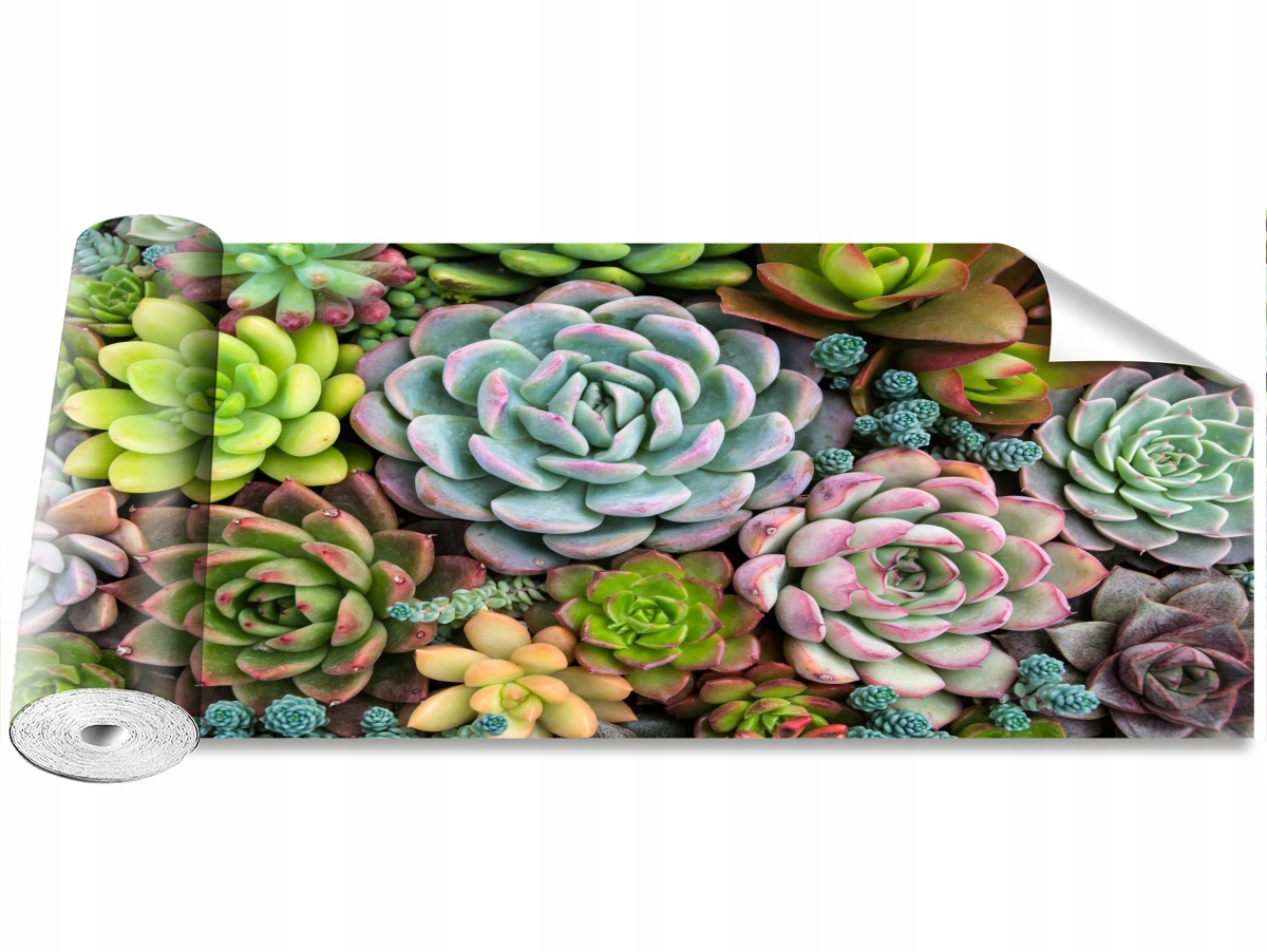 

Tapeta Samoprzylepna Ogród Skalny Rośliny 250x104