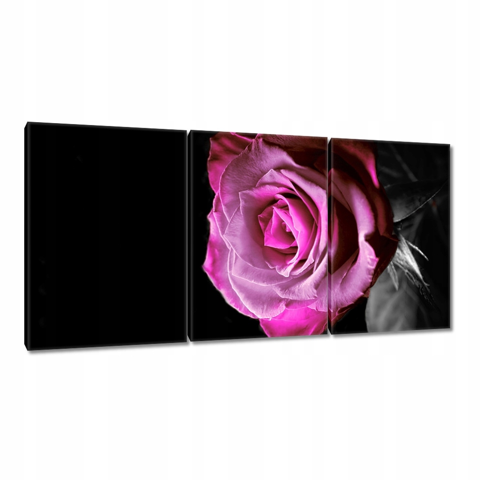 

Obrazy 120x60 Fioletowa różyczka