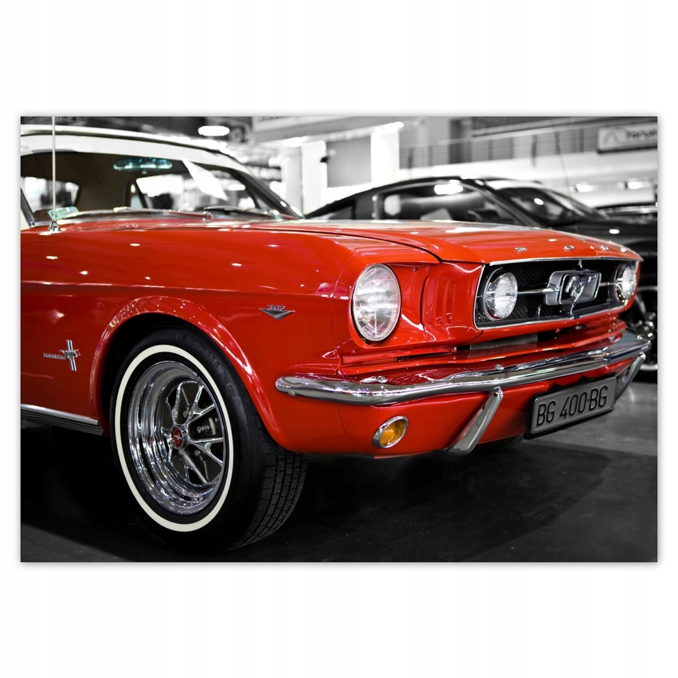 

Naklejki 100x70 Czerwony Mustang