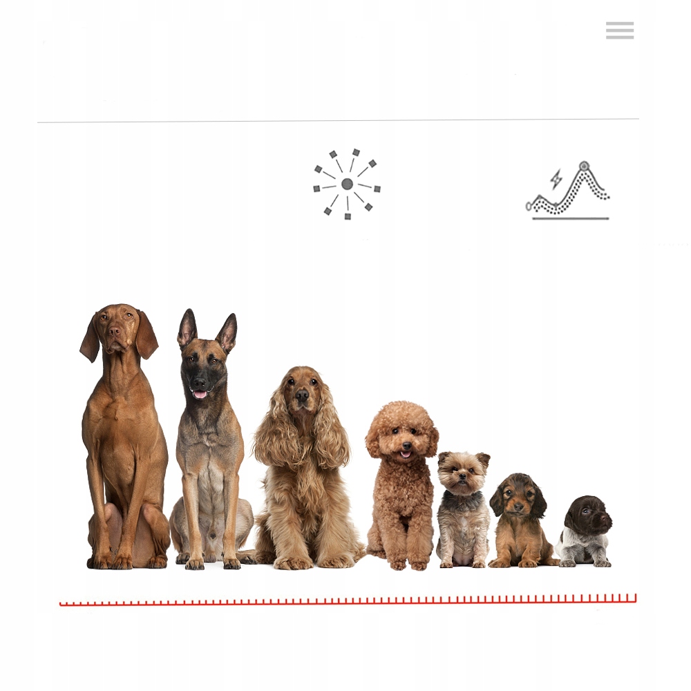 1bda7b1846ad9f97d14ea6849281