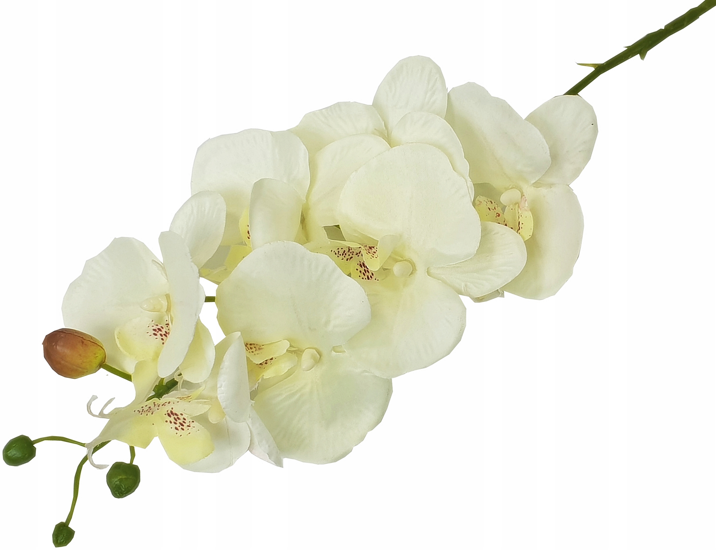 STORCZYK ORCHIDEA GAŁĄZKA 7 KWIATÓW 78cm