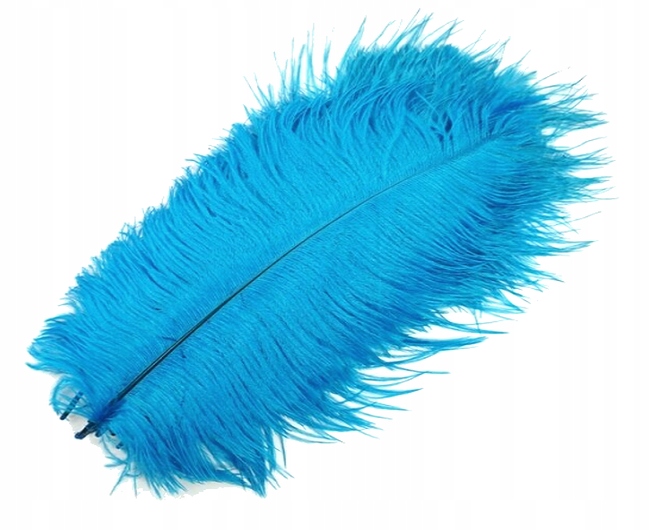 Strusie pióro długość 35-40 cm Turkusowe 1szt