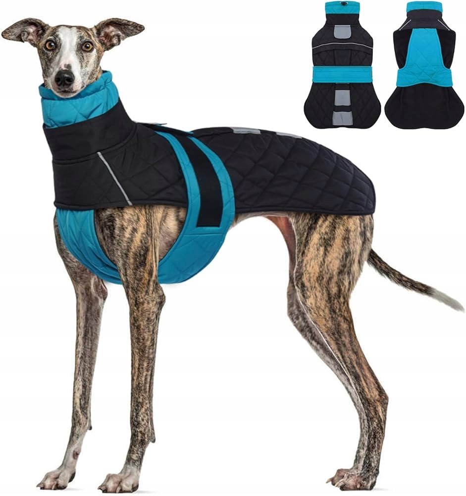 Levně Pumyporeity Oblečení bunda pro Psa Charta voděodolná, nastavitelná *XL