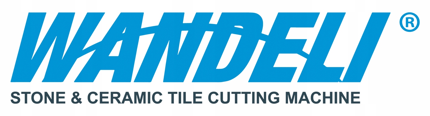 TARCZA DIAMENTOWA SENDI FREZ Ø100 DO SZLIFOWANIA GRESU PRZECINARKI WANDELI Seria Ø90 SZLIFOWANIE GRESU WANDELI FREZ JOLLY