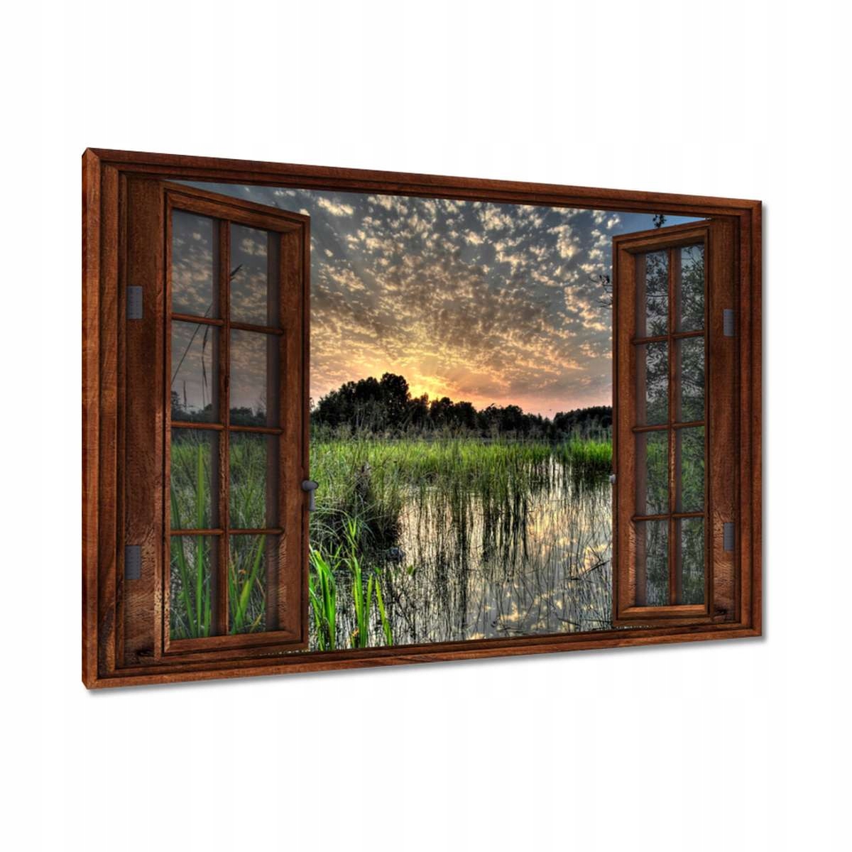 Obrazy 90x60 Mokřad