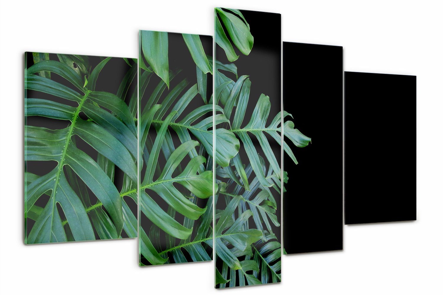 

Foto Obraz szklany tryptyk nowoczesny Monstera