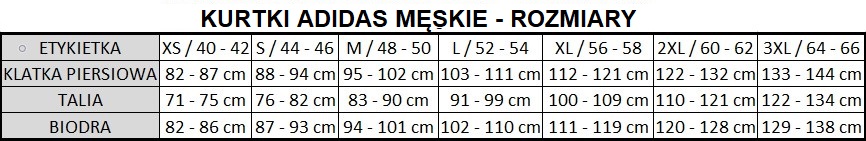 Kurtka Męska Champion 218073BS501 HOODED JACKET Granatowa L Rozmiar L