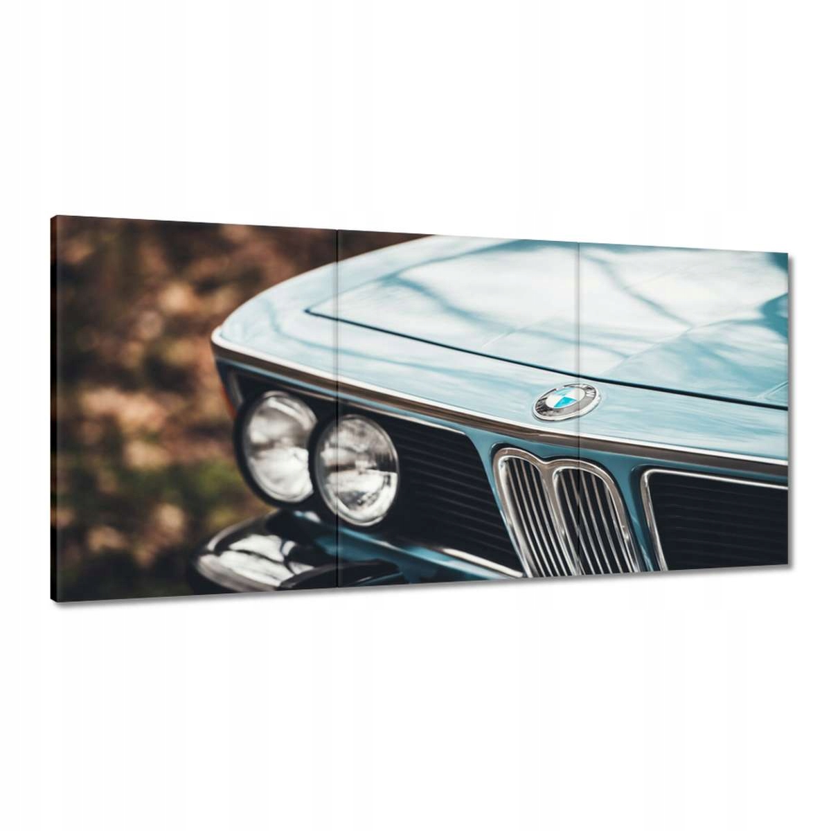 Obrazy 180x90 Bmw Rekin Buma Klasika