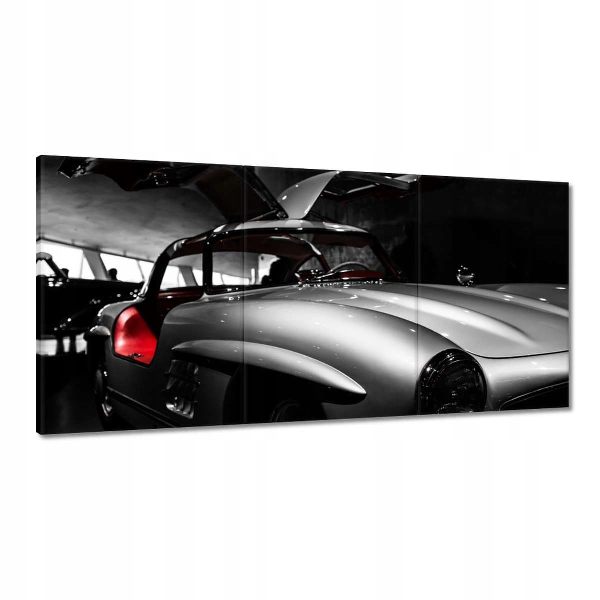 Obrazy 180x90 Mercedes Krídlak