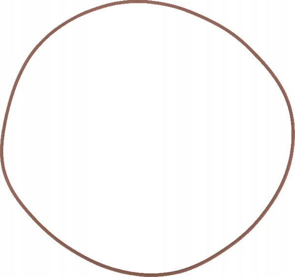 Pierścień uszczelniający o-ring