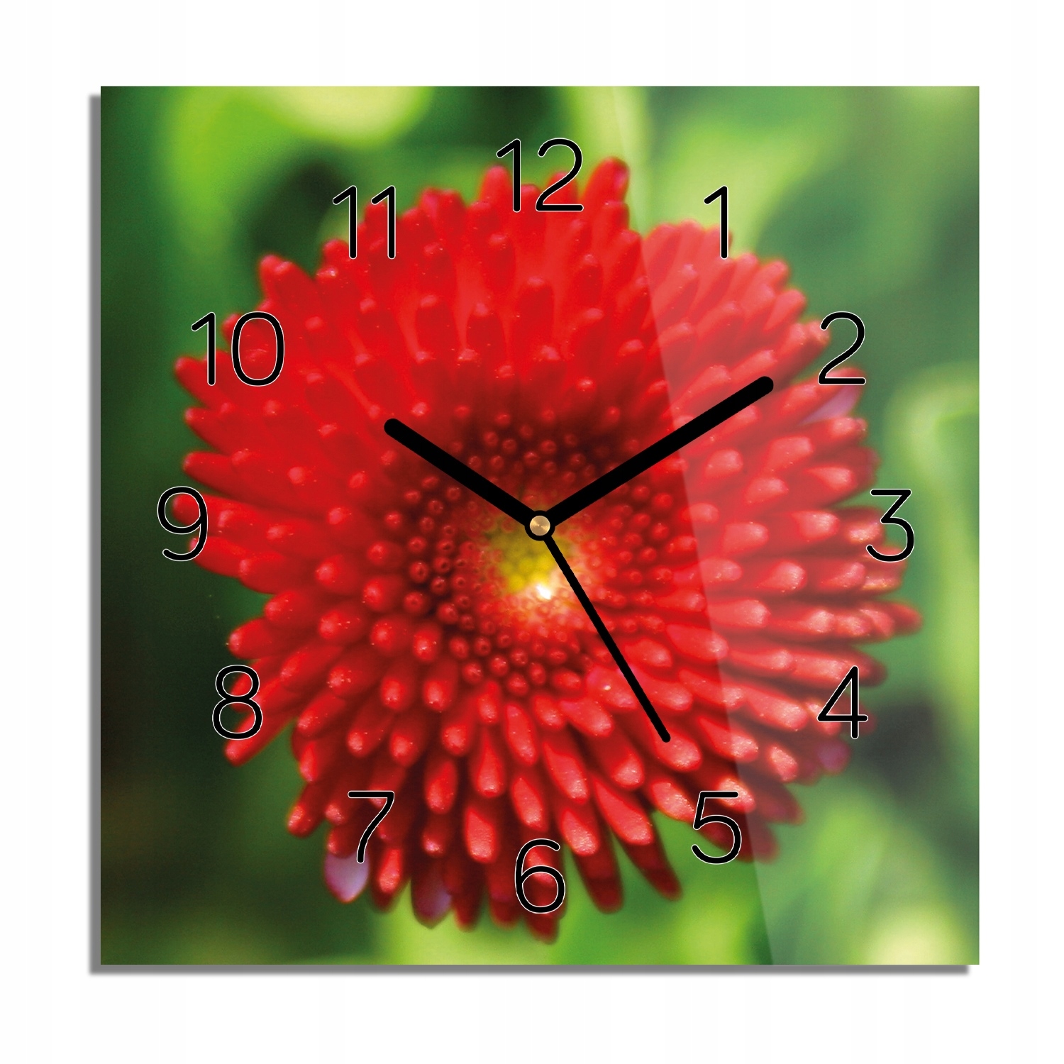 

Dalia makro foto-zegar cichy 30x30 do sypialni