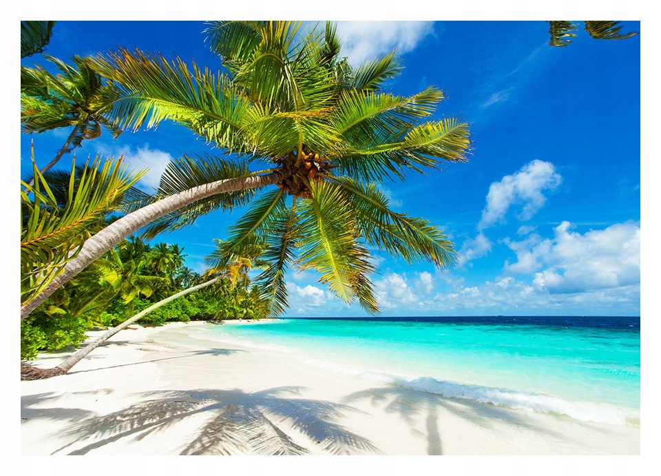 

Fototapeta 3D Malediwy plaża palmy 368x254 F00404