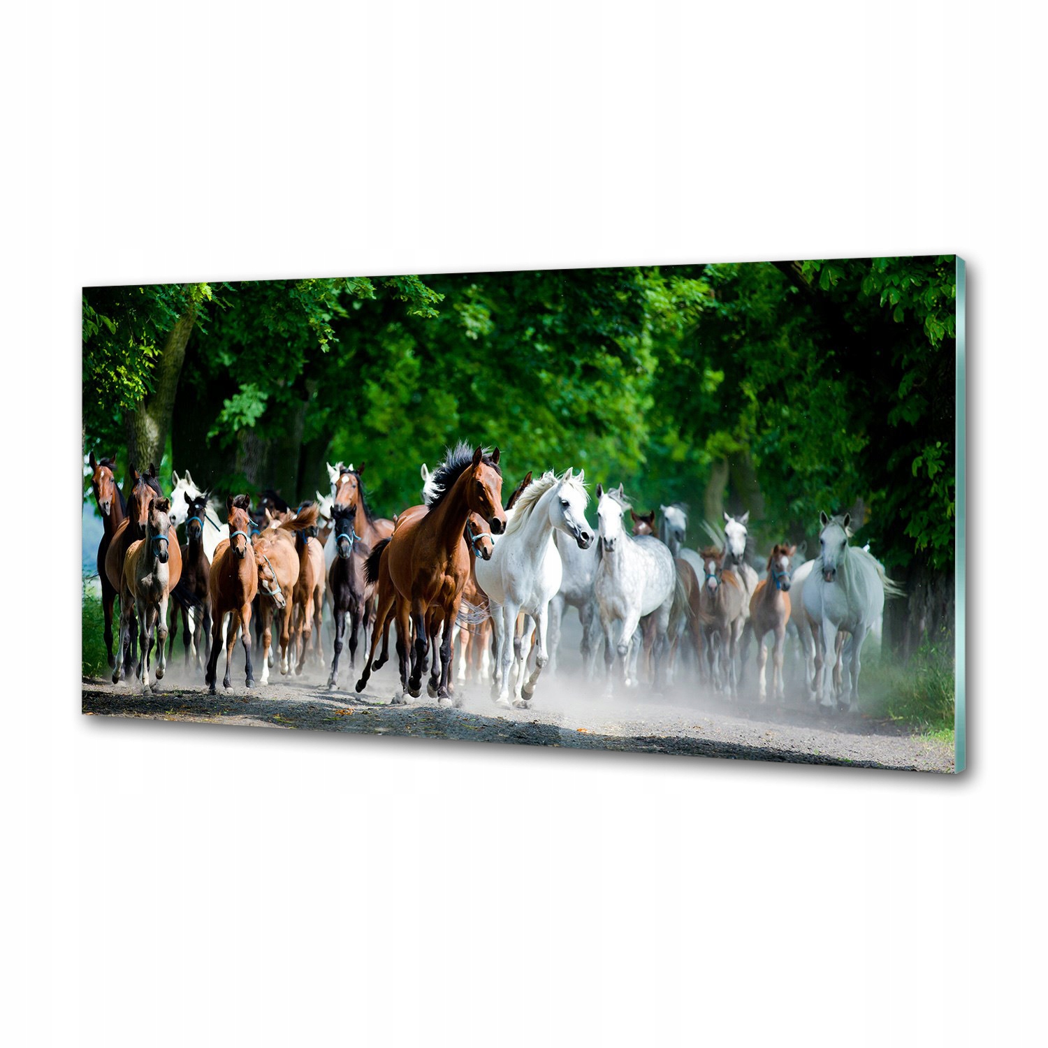 Panel do kuchyně Cválající koně 120 x 60 cm Lepidlo