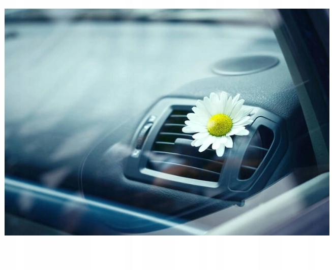 GENERATOR OZONU OZONATOR 20 000 MG H CZASOMIERZ Producent code 7774