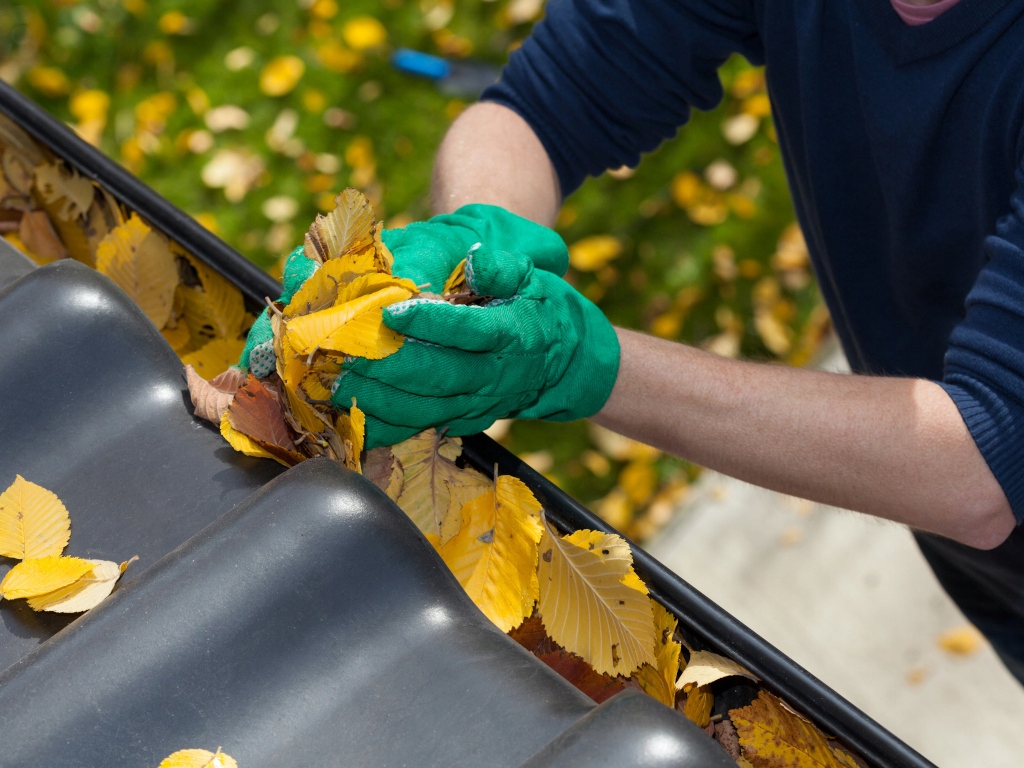 SIATKA OCHRONNA RYNIEN 1MB NA RYNNY LIŚCIE 10szt Rodzaj Rynna