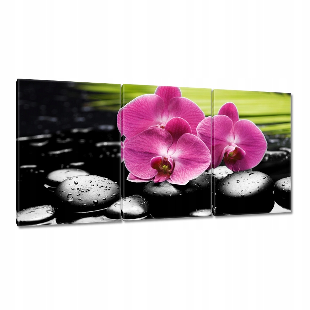 

Obrazy 120x60 Spa Kamienie i oleandry