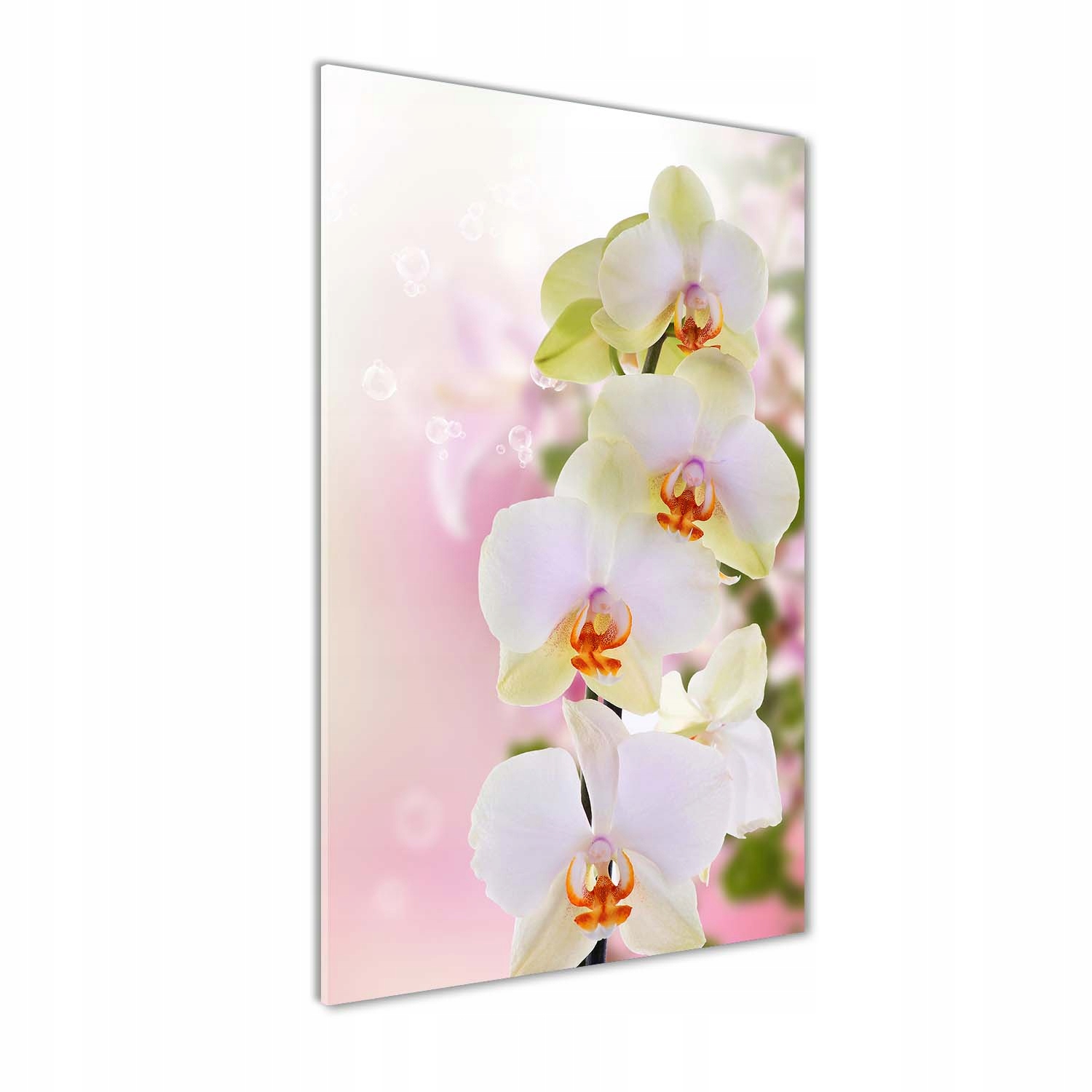 Fotoobraz na skle Bílá orchidej 60x120