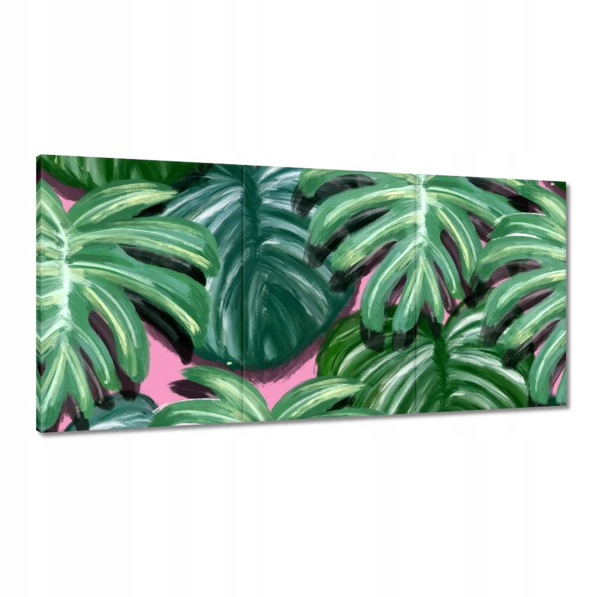 Obrazy 180x90 Monstera Listy listy