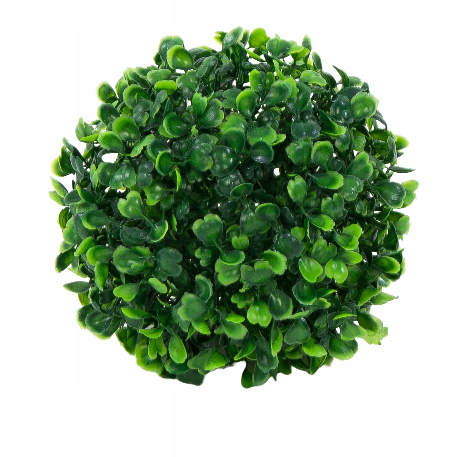 

Kula z bukszpanu bukszpan dwie połówki 15cm