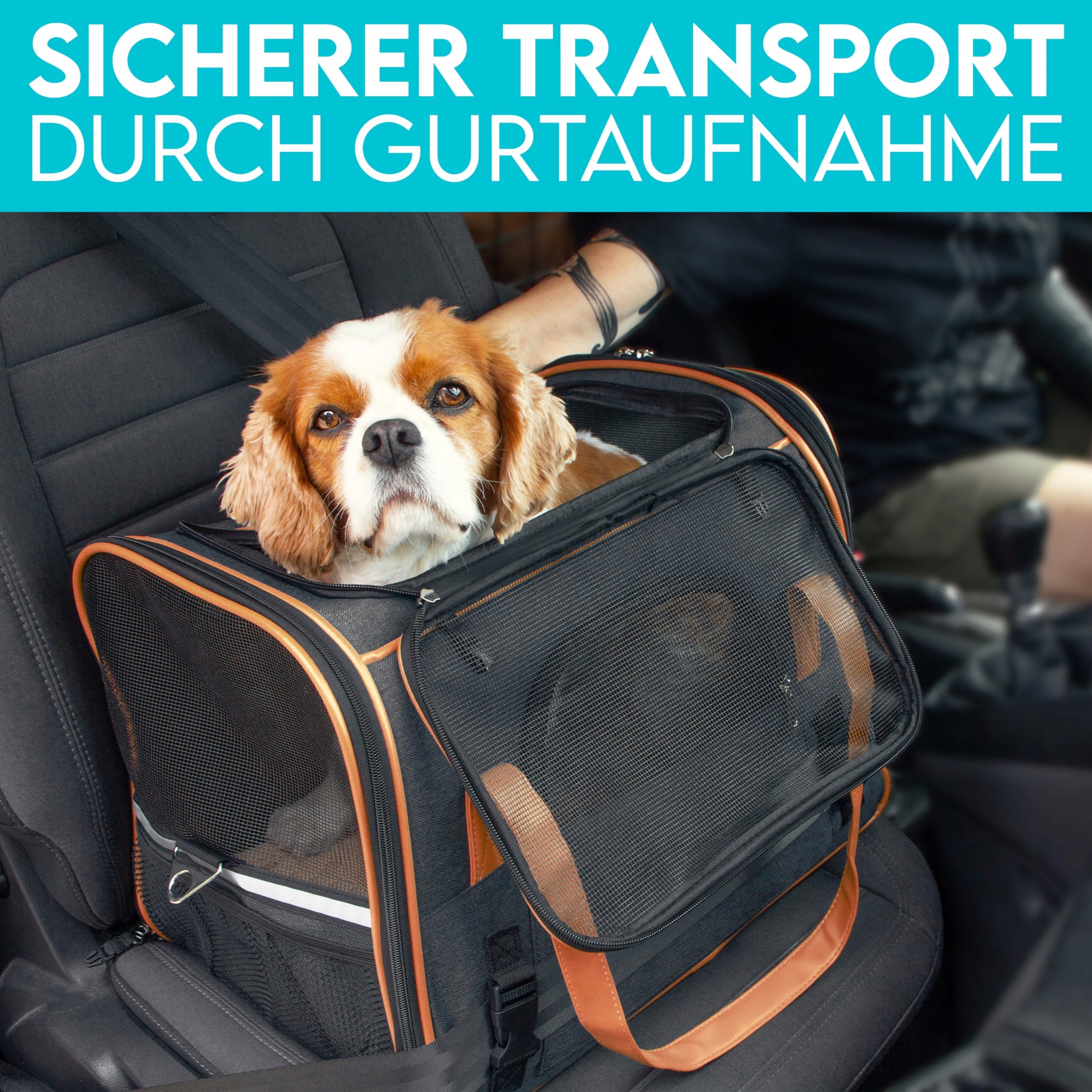 HUND IST KÖNIG Torba Transportowa Dla Psów I Kotów Do 8kg Składana — miniatura 5