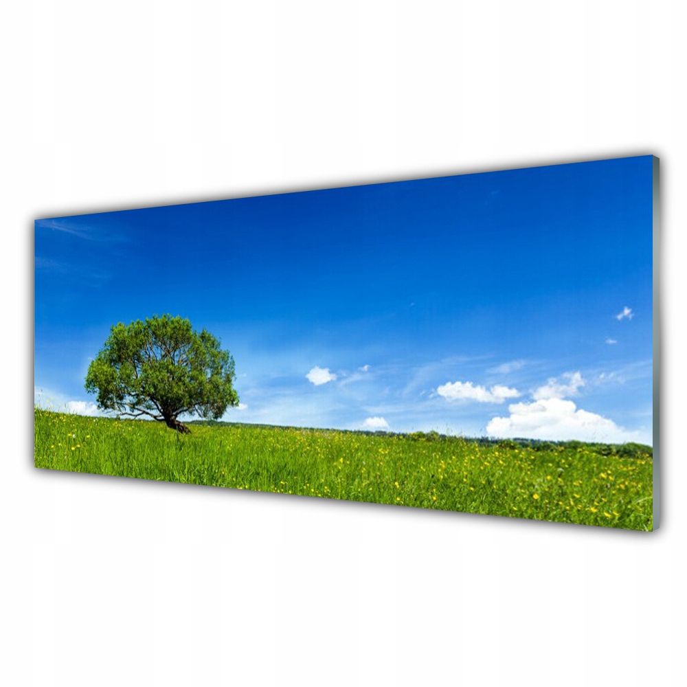 

Obraz na ścianę ścienny 125x50 Trawa Drzewo Natura
