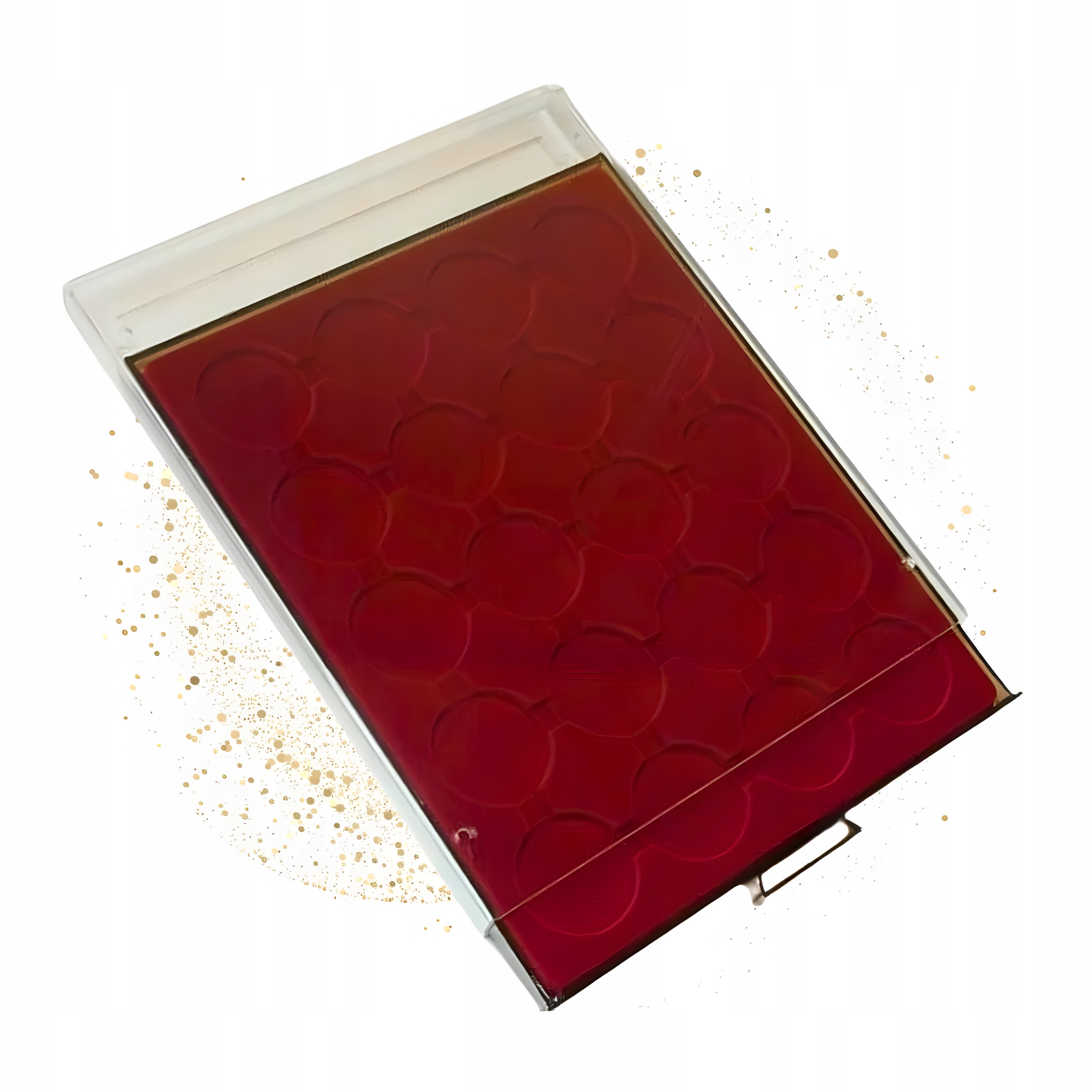 Paleta Mb na mince 39 mm v kapslu kazeta na 20 mincí 20 zlatých Nbp