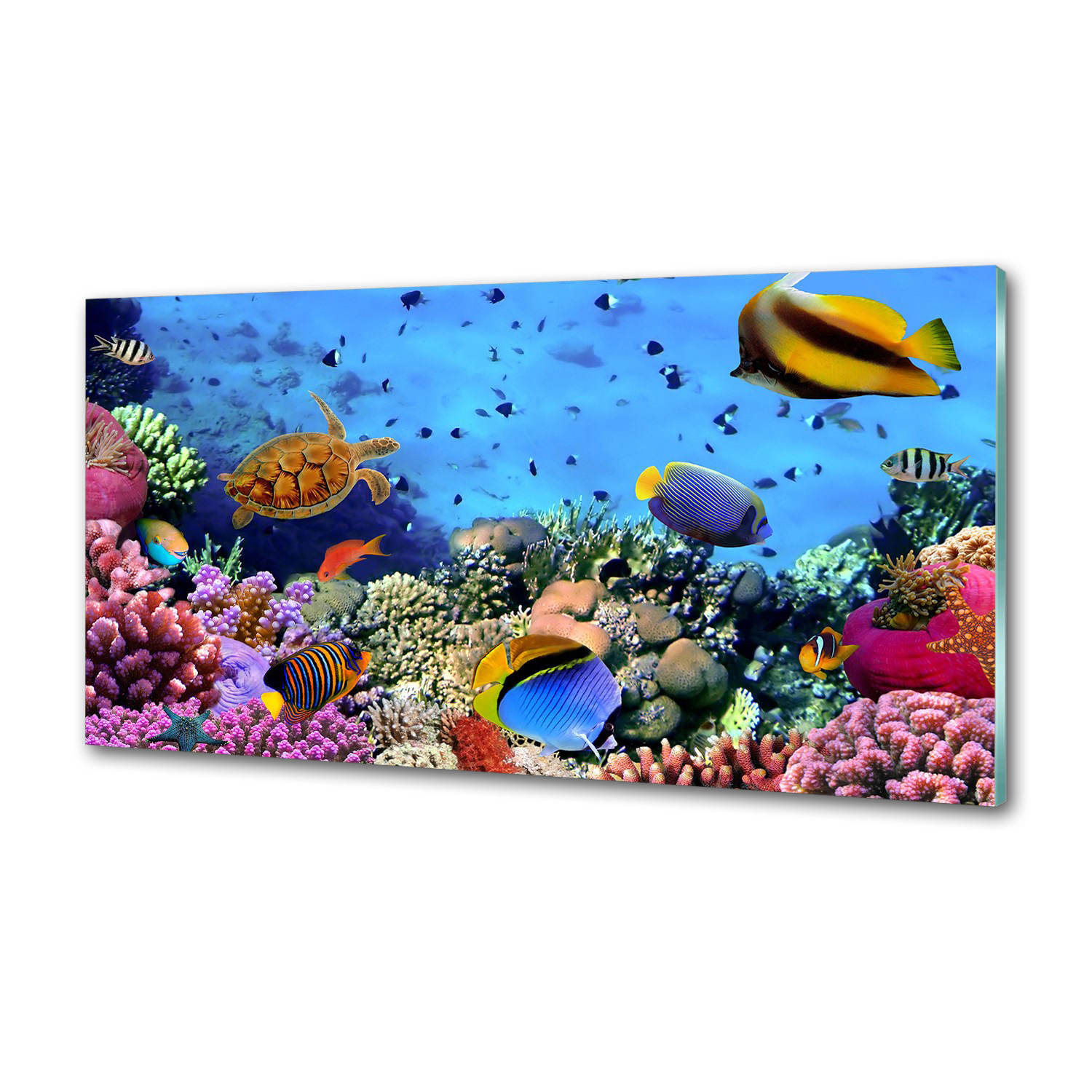Panel do kuchyne Koralový útes 100x50 cm Lepidlo