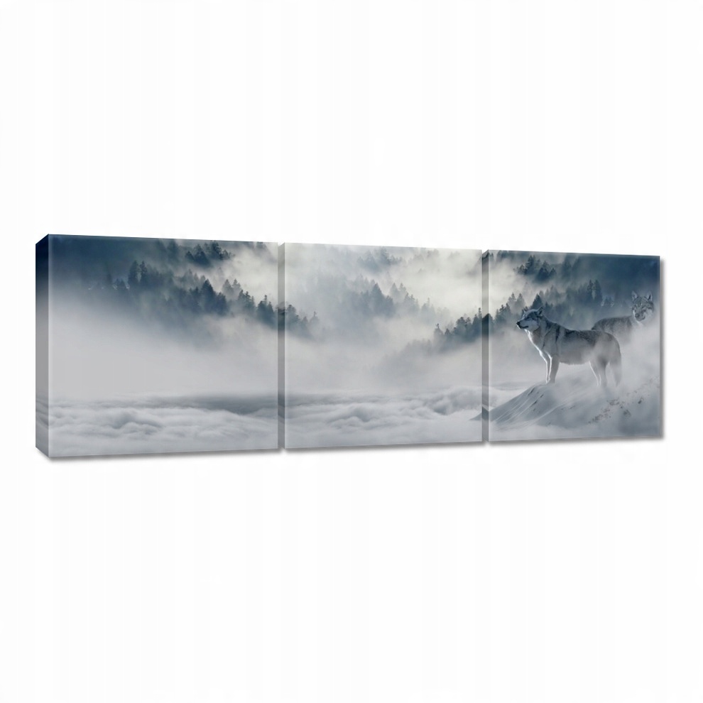 

Obrazy 120x40 Wilki w naturze