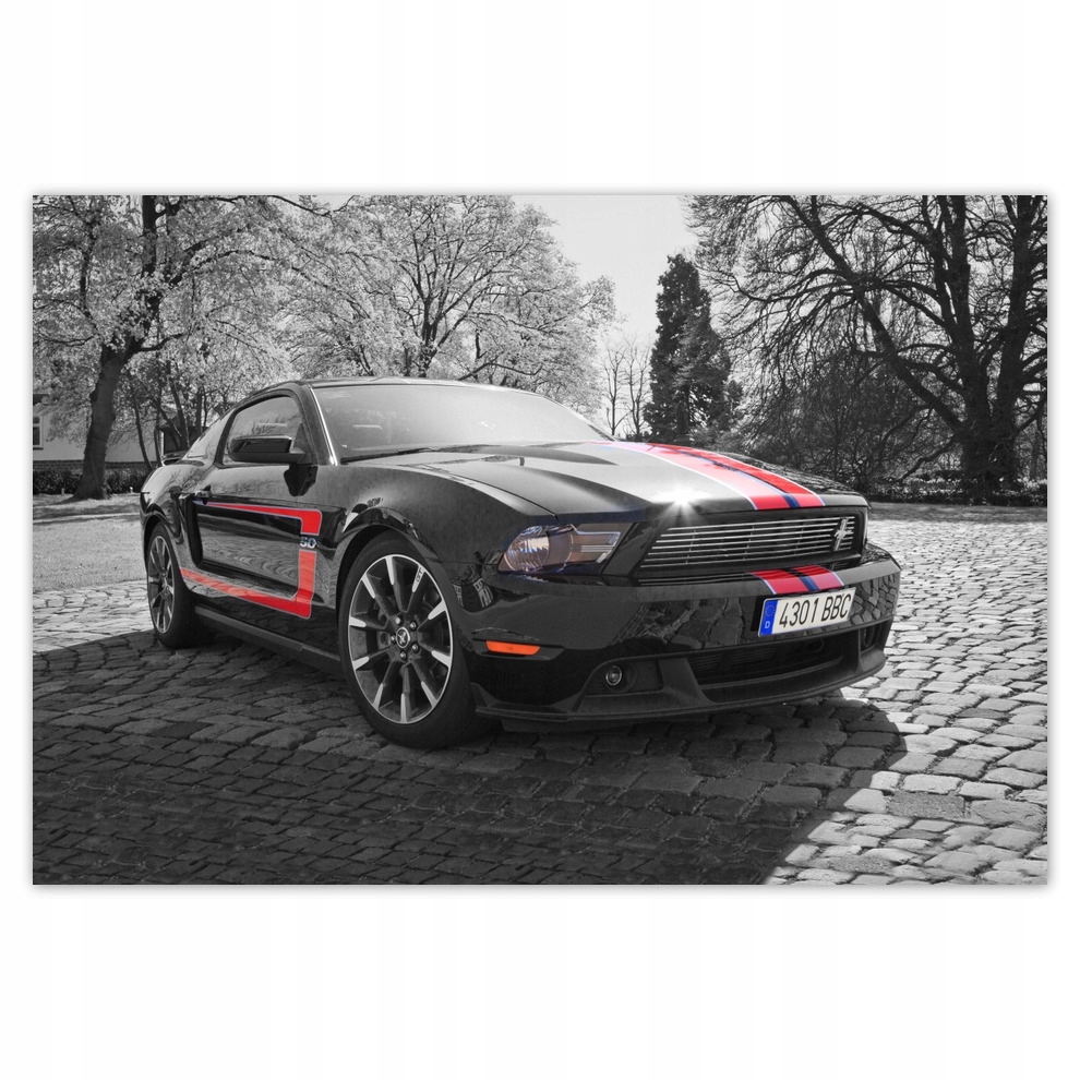 

Fototapety flizelina 104x70 Czarny Ford Mustang