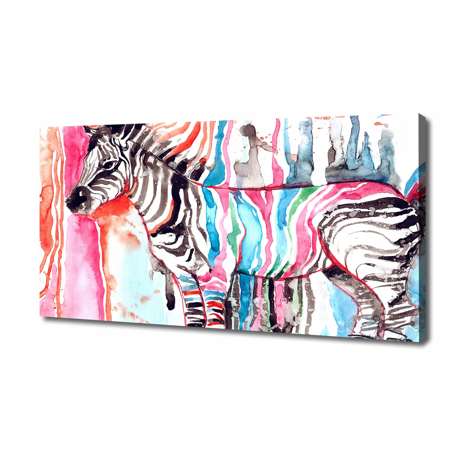 

Foto obraz na płótnie Kolorowa zebra 140x70 cm