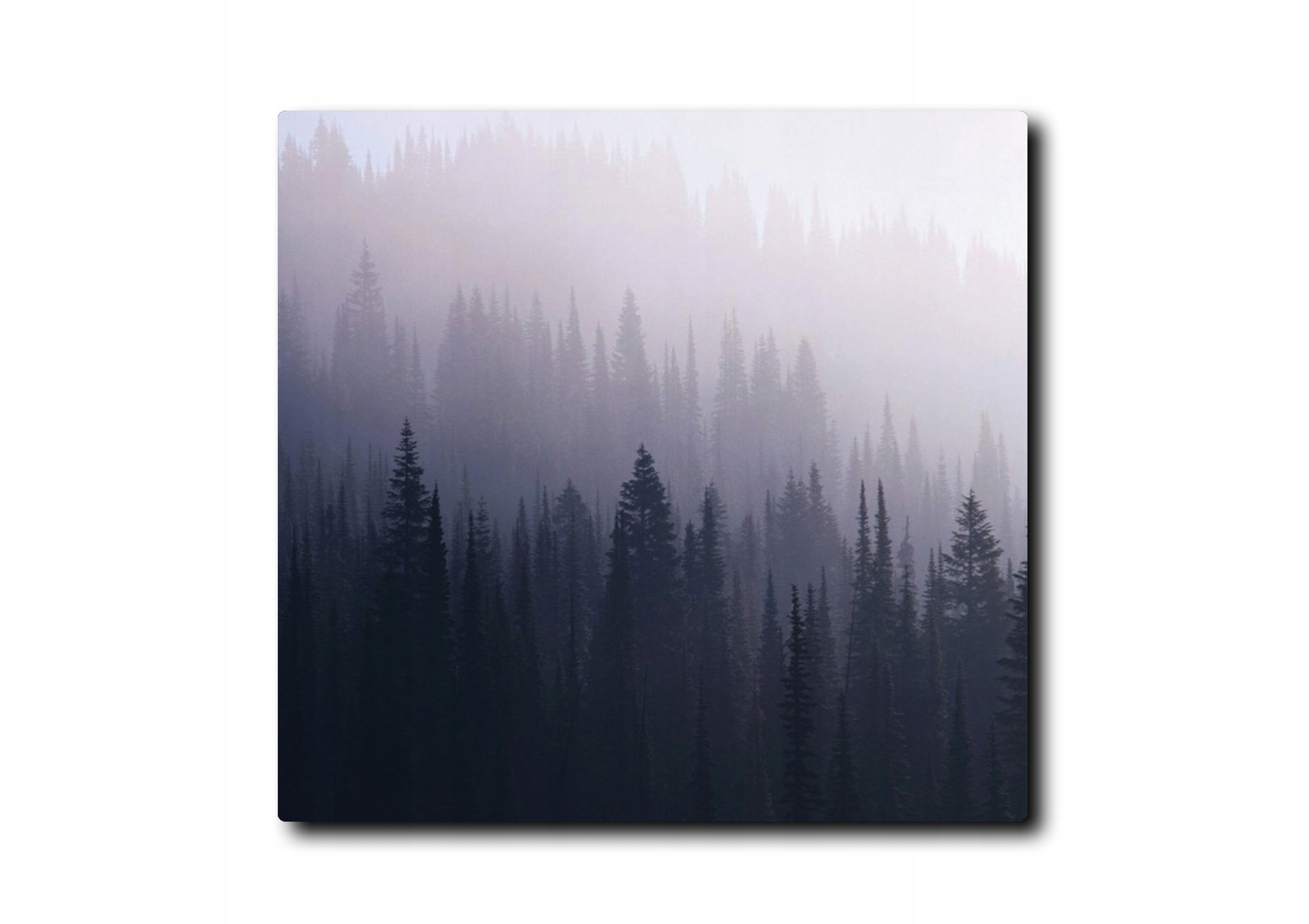 

Foto obraz 80x80 Fotografia 03