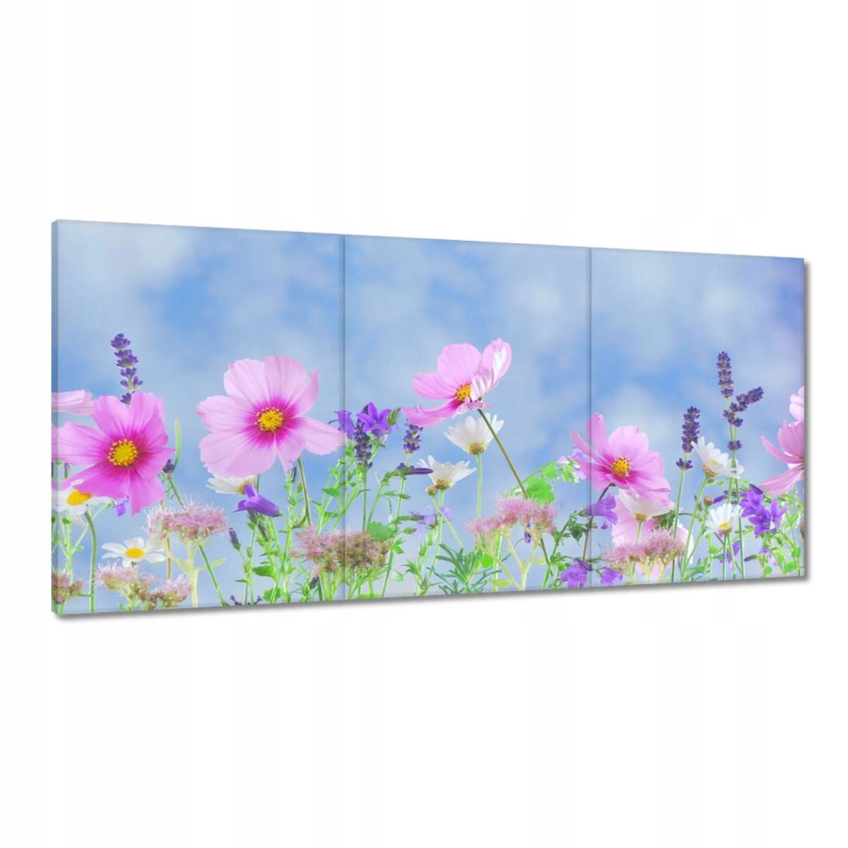 Obrazy 180x90 Jemné kvety