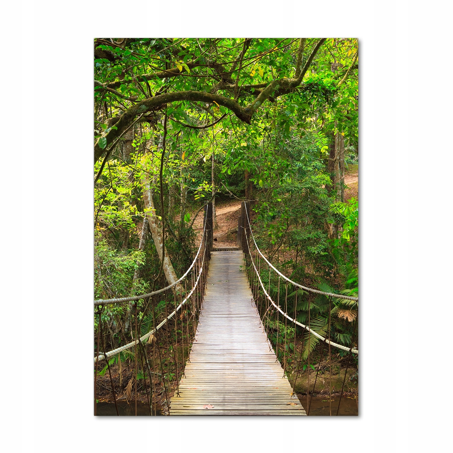 

Foto obraz akrylowy Most wiszący w lesie 70x100cm
