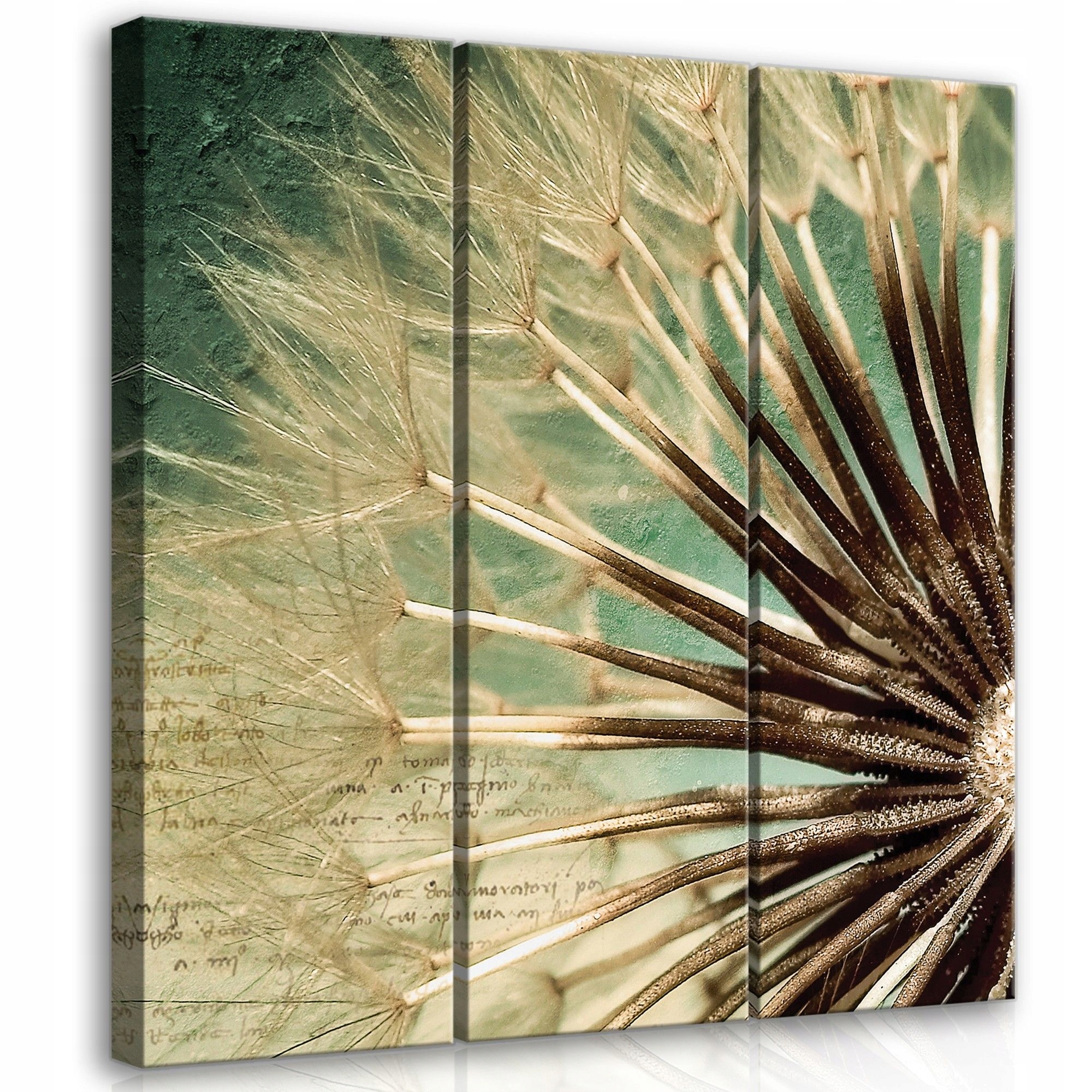 Obraz 90x100 Pampeliška lékařská semena peří lehkost příroda prchavost klid