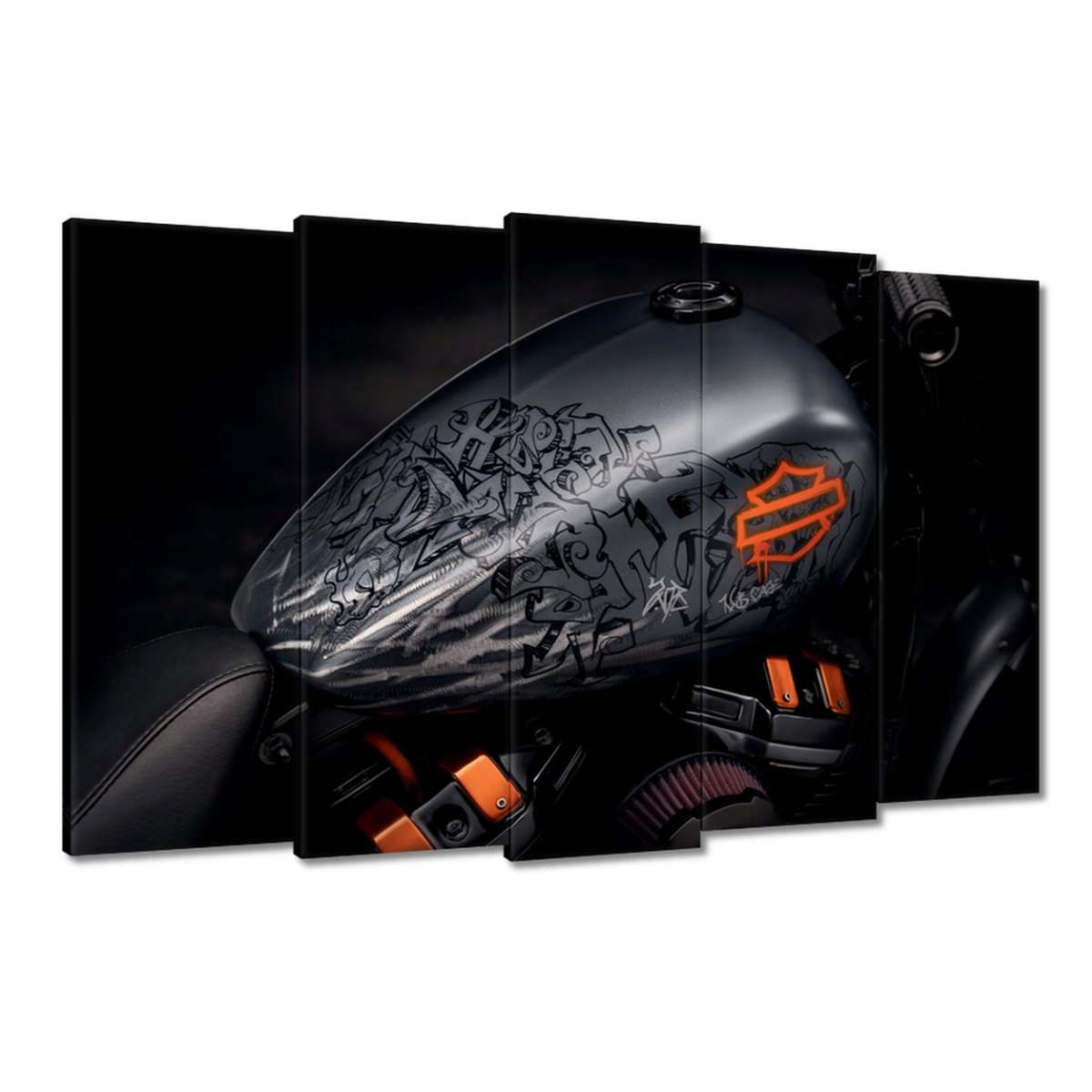 Obrazy 150x95 Harley Davidson Motocykl