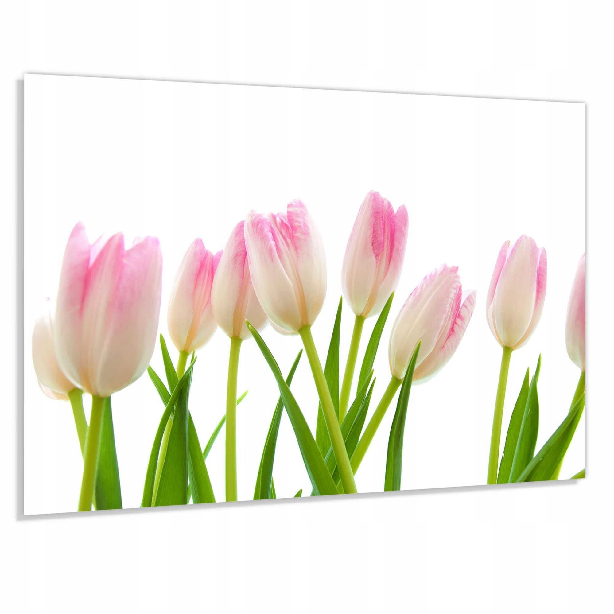 Ochranný Panel 4mm 100x50cm Do Kuchyně Lacobel Kalený Dekorativní
