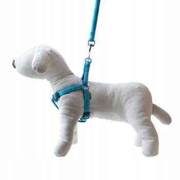 Levně Vodítko+šle Soft Style Happet tyrkysová XL2.5cm