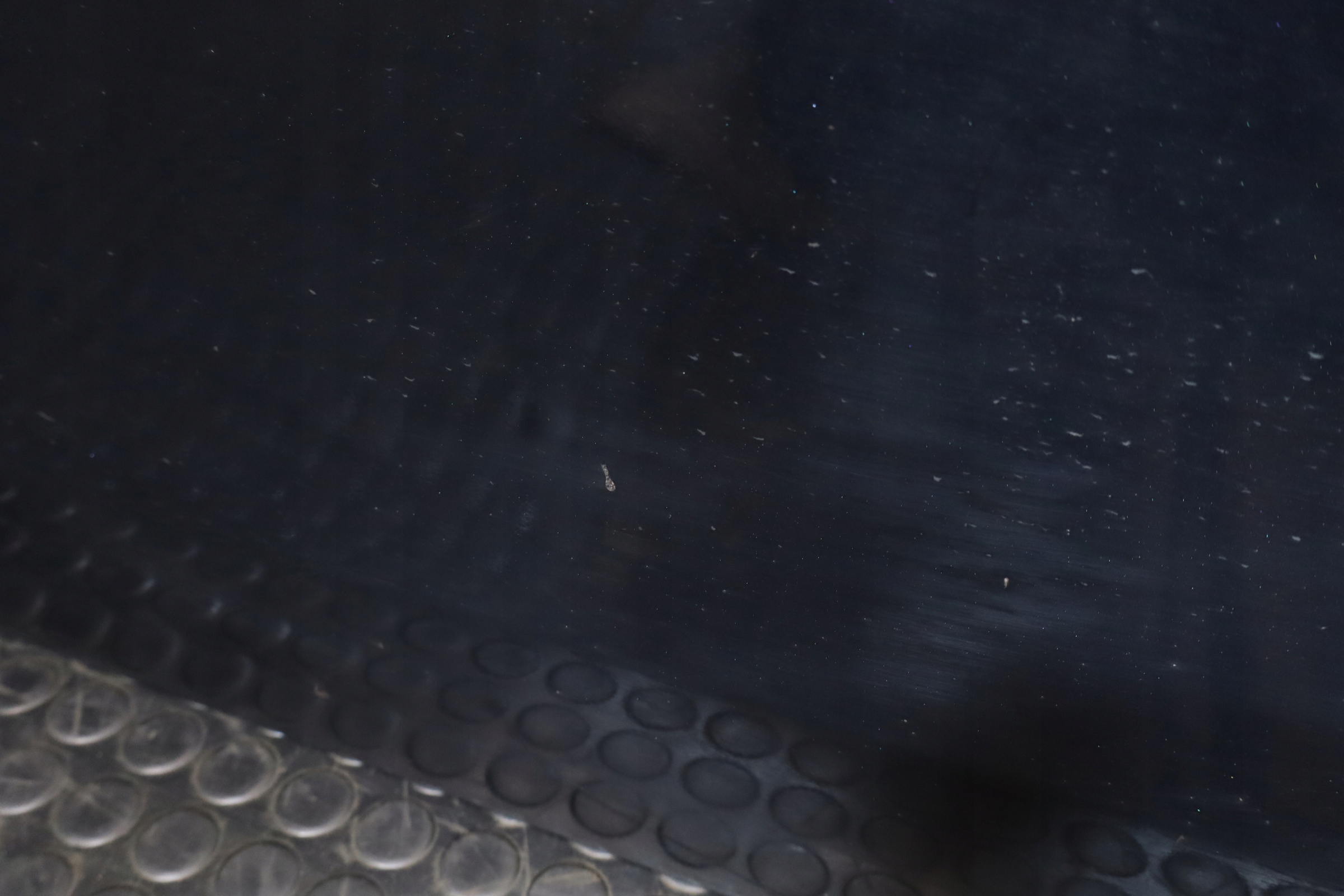 B6233d26459e9ae7aff3a50c3548