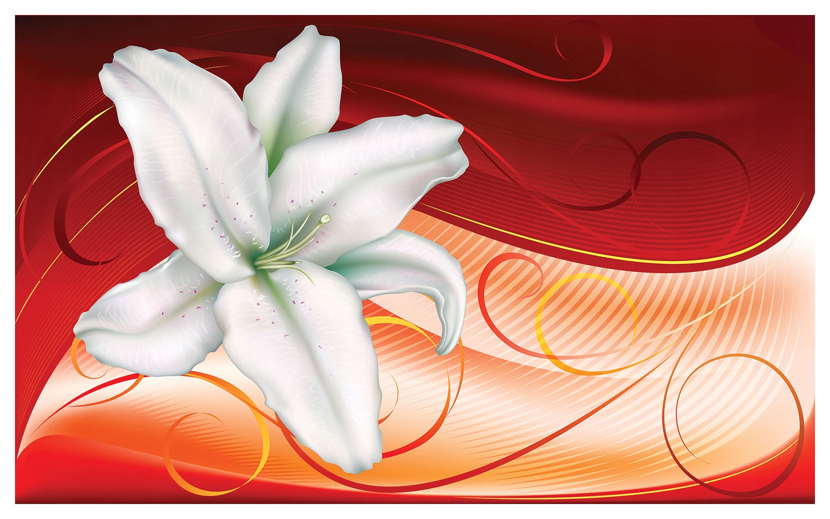 Fototapeta Bílá lilie Abstrakce a elegance v domě 208x146 lepidlo