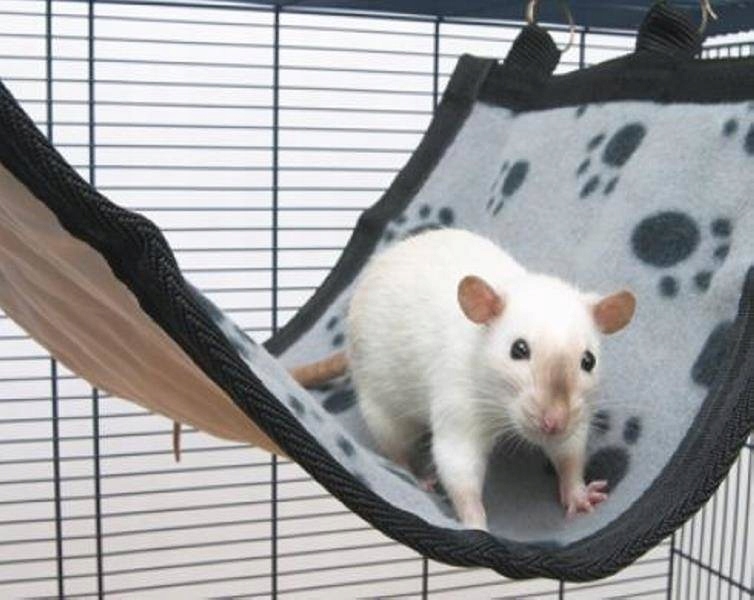 Levně Houpací síť pro fretku Savic 30 x 25 cm