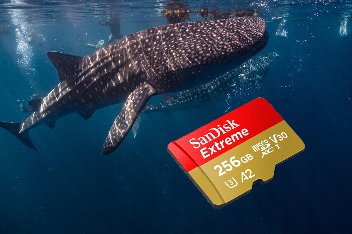 Karta pamięci SANDISK Extreme microSDXC 256GB Dołączony adapter tak