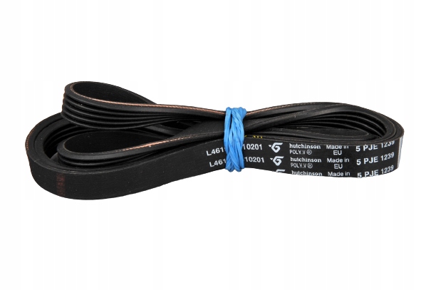 

Pasek 1239J5 Whirlpool 481235818215