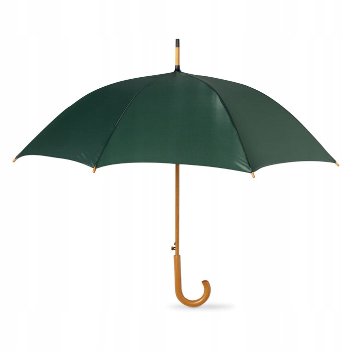

Automatyczny Parasol Przeciwdeszczowy Zielony