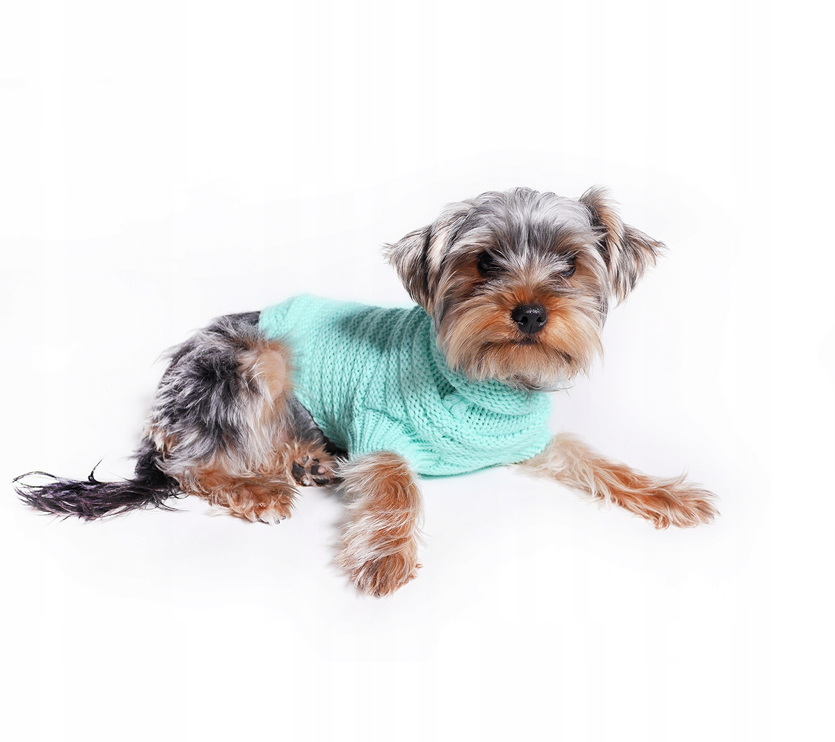 Svetr na zimu mikina pro psa, mátová, velikost XXL