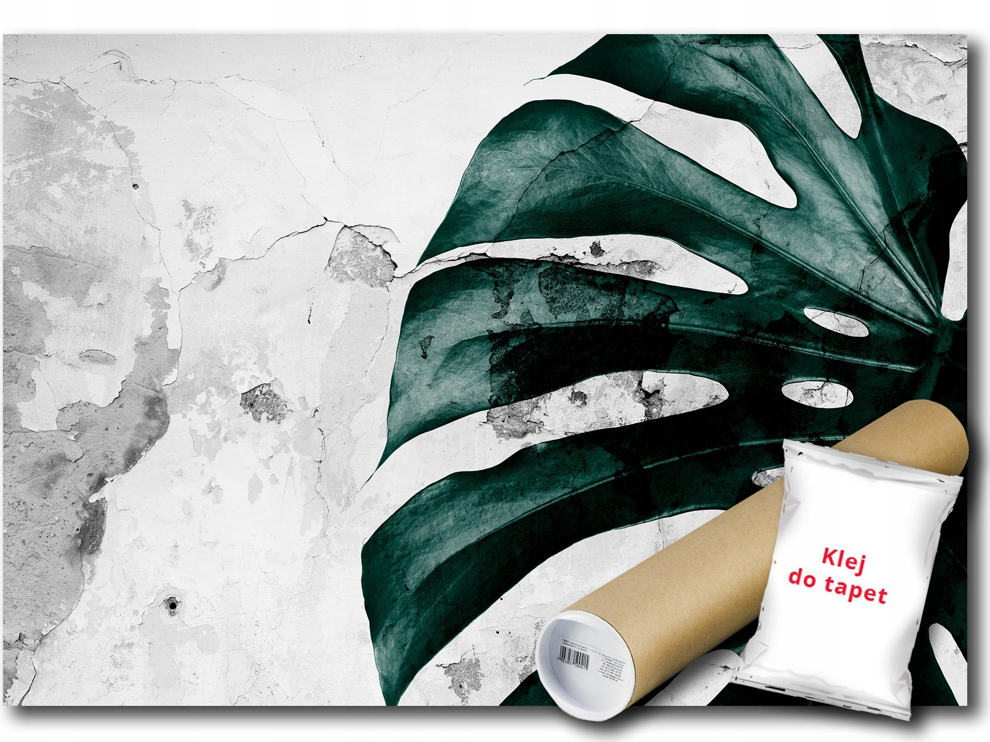 Fototapeta Flizelina Monstera Beton List 416x290