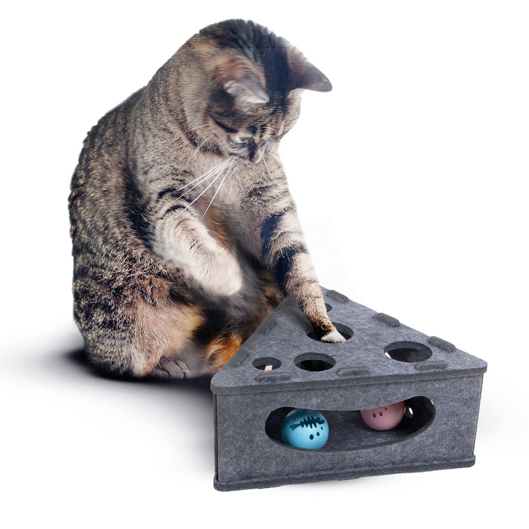 Levně Cheese Catch Canadian Cat Hračka pro kočky Interaktivní 28x28x13 cm