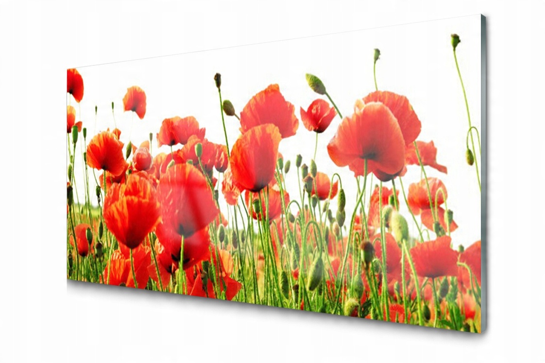 

Panel szklany Płytka Maki Roślina 120x60 + Klej