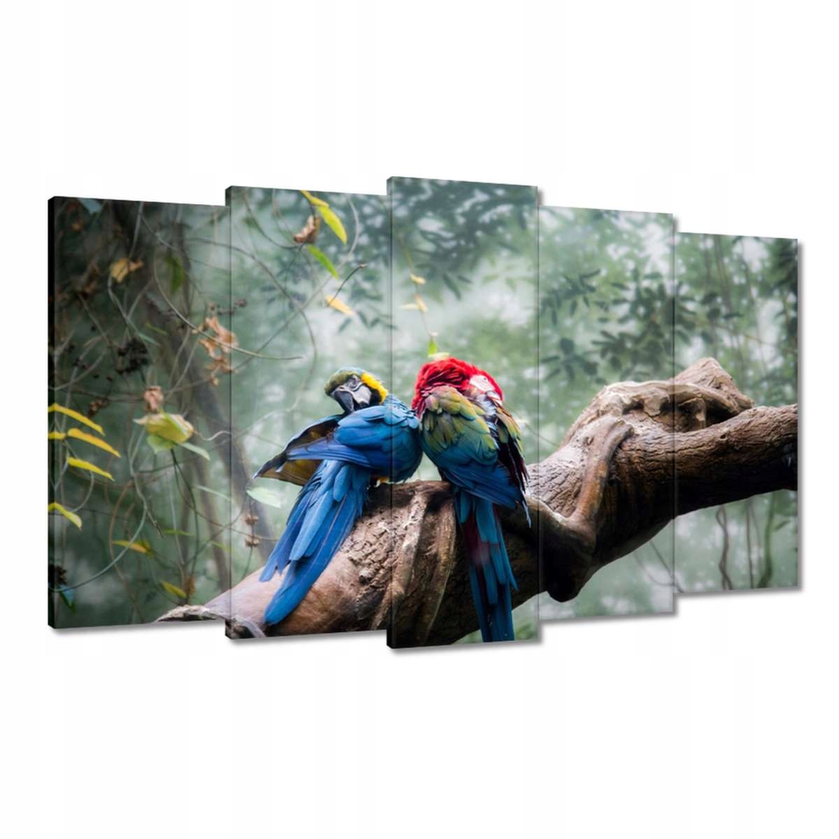 Obrazy 100x60 Zamilovaní papoušci