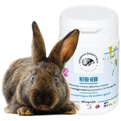 NEFRO-HERB DR.ZIĘTEK 48 KAPSUŁEK